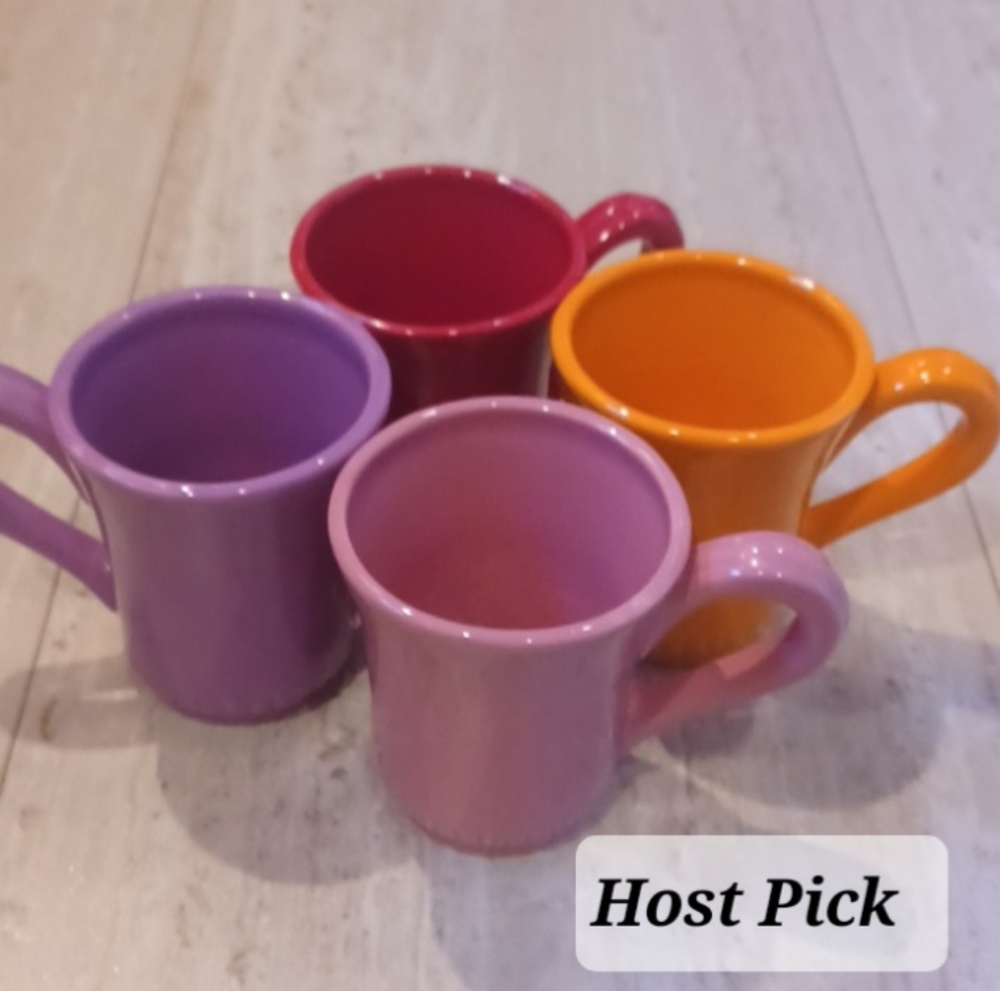 Williams-Sonoma Set of 4 Multi-Colored Mugs